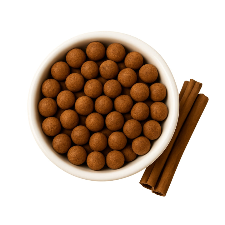 Chocolate Covered Coffee Beans